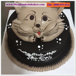 Bánh Sinh Nhật Socola - S197